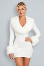 Dahlia | Fur Collar Mini Dress