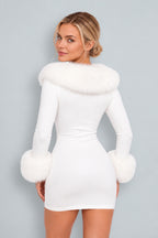 Dahlia | Fur Collar Mini Dress